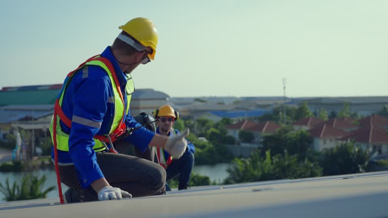 Best Steel Roofing  in Swift Trail Junction, AZ