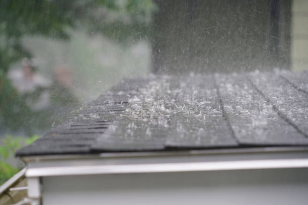 Best Gutter Installation and Repair  in Swift Trail Junction, AZ