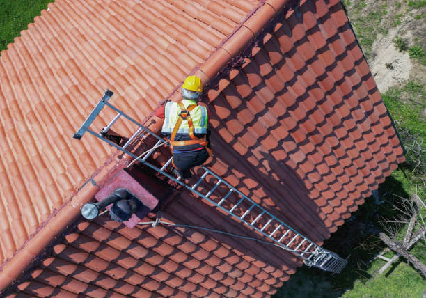 Best Skylight Installation and Repair  in Swift Trail Junction, AZ