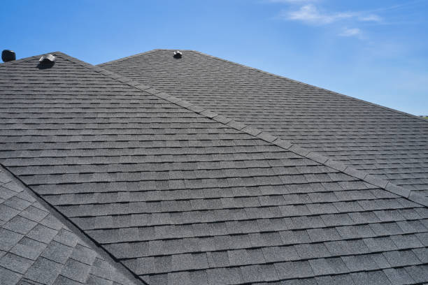 Best Sheet Metal Roofing  in Swift Trail Junction, AZ